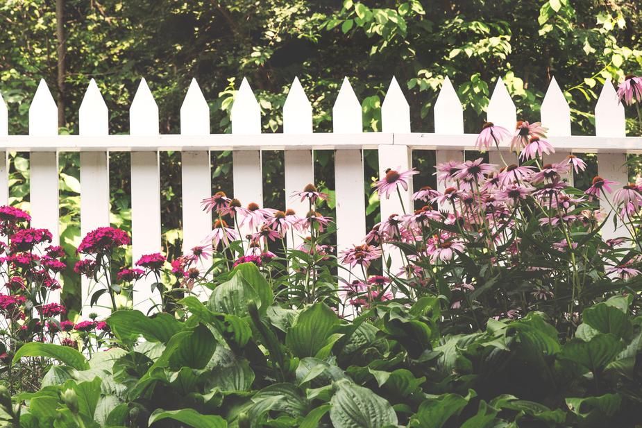 fence painting